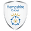 Hampshire Flag