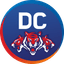 Delhi Capitals Flag